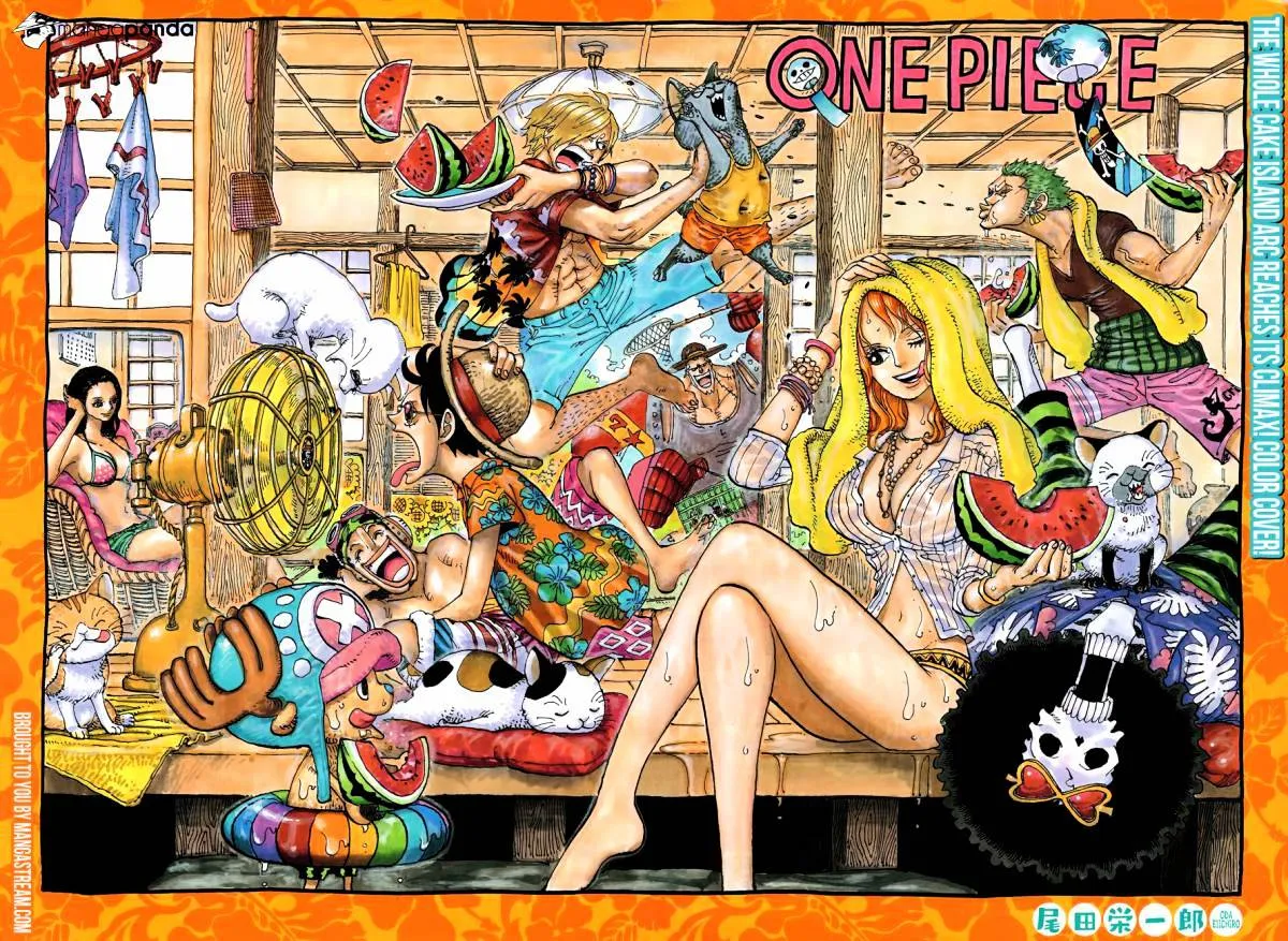 One Piece Chapter 878 page 3 - MangaNato