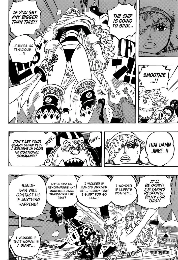 One Piece Chapter 894 page 13 - MangaNato