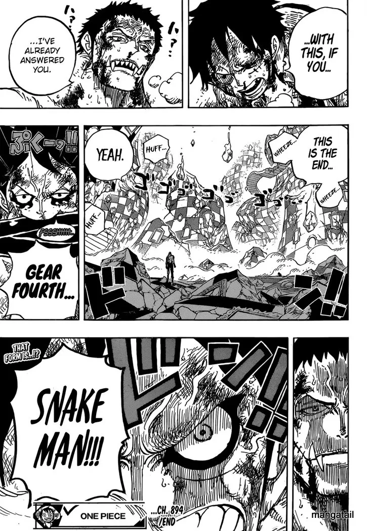 One Piece Chapter 894 page 17 - MangaNato