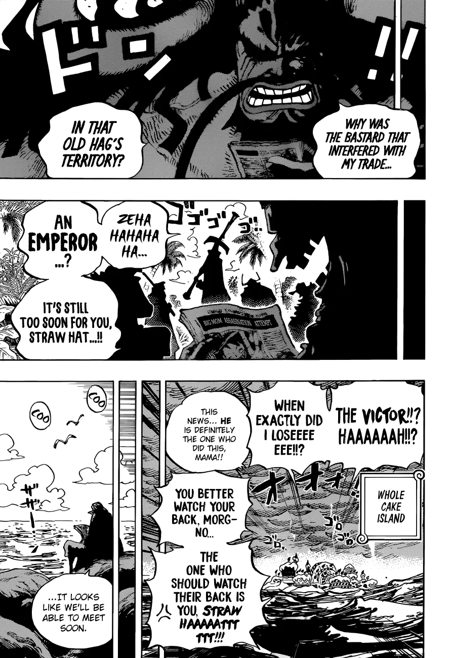 One Piece Chapter 903 page 17 - MangaNato