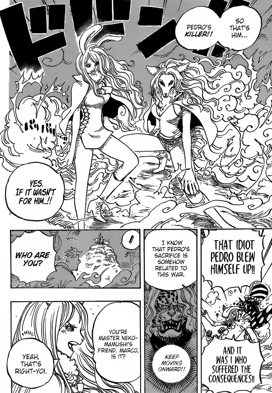 One Piece Chapter 995 page 5 - MangaNato