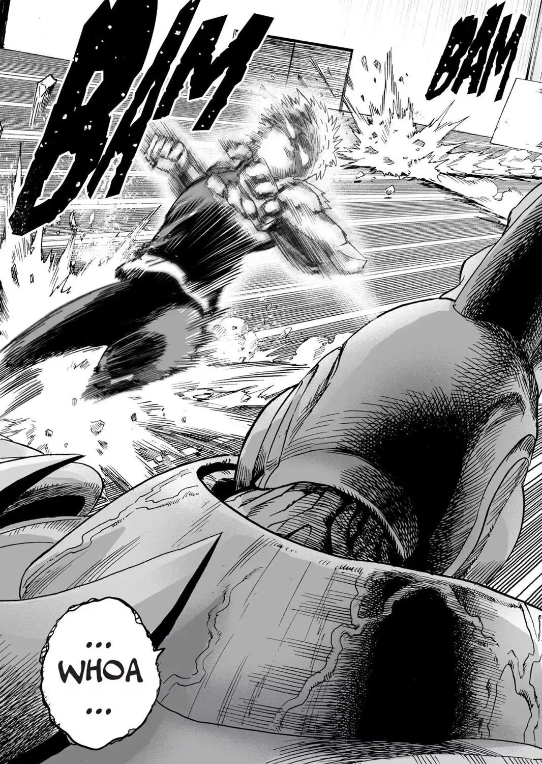 Onepunch-Man - Page 20