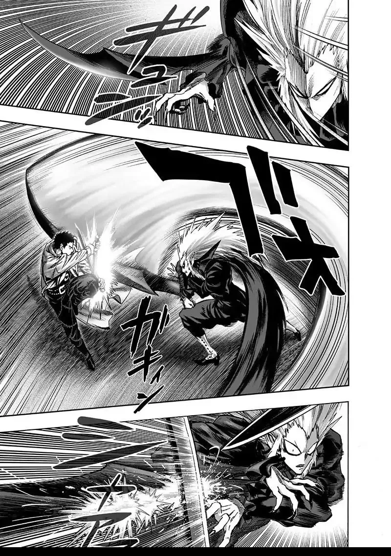 Onepunch-Man - Page 29