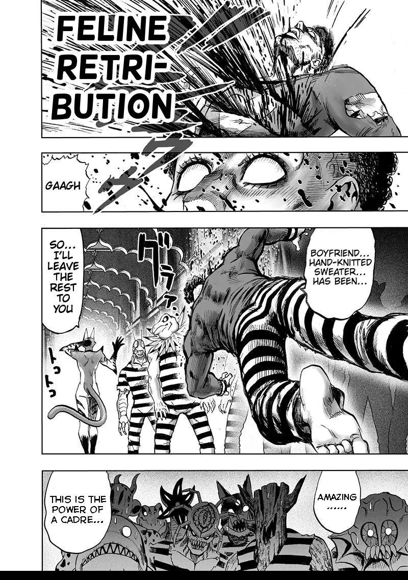 Onepunch-Man - Page 27