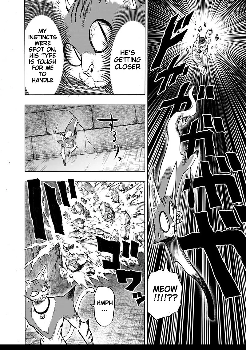 Onepunch-Man - Page 37