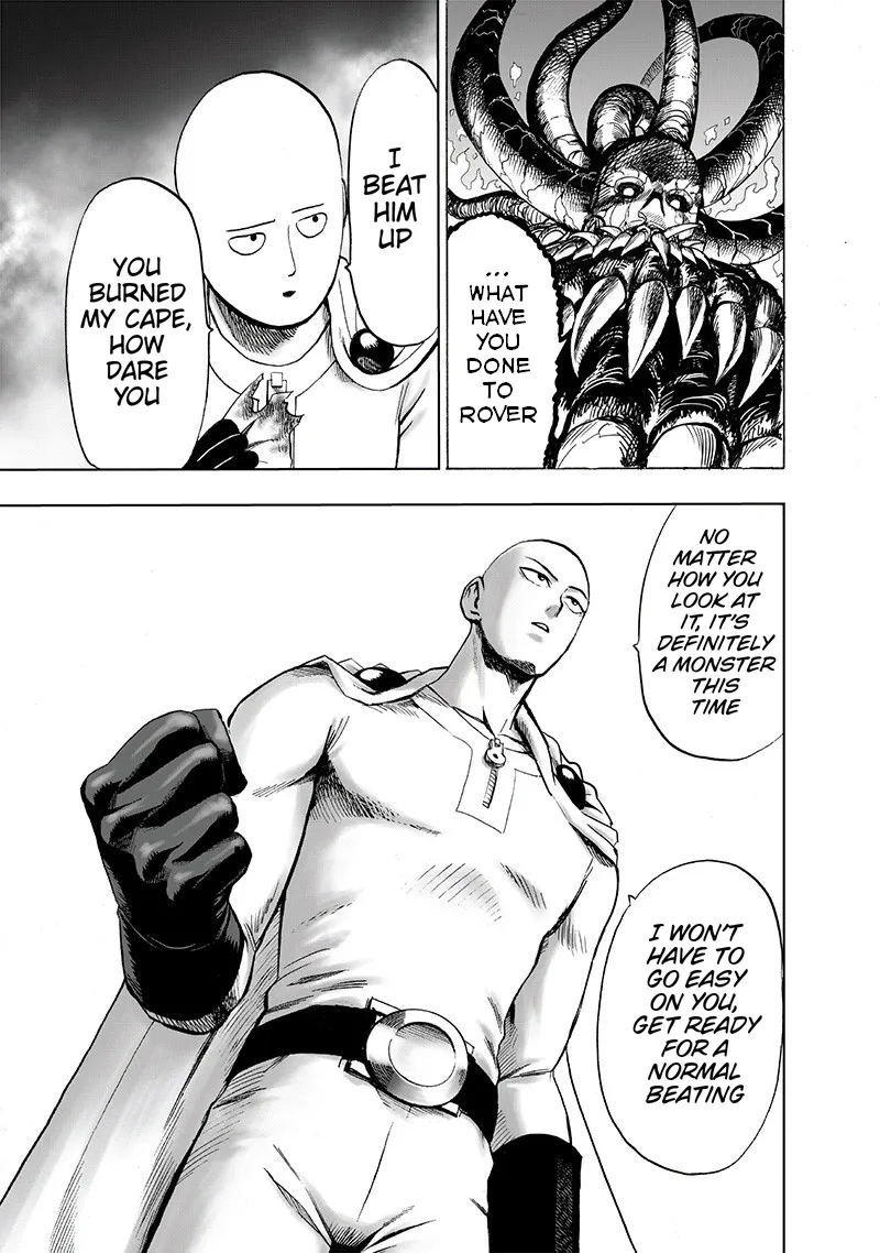 Onepunch-Man - Page 10