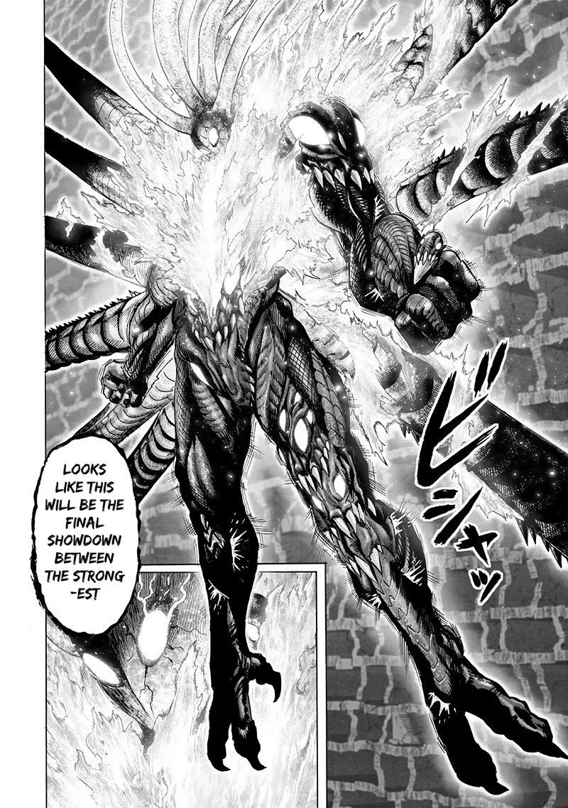 Onepunch-Man - Page 15