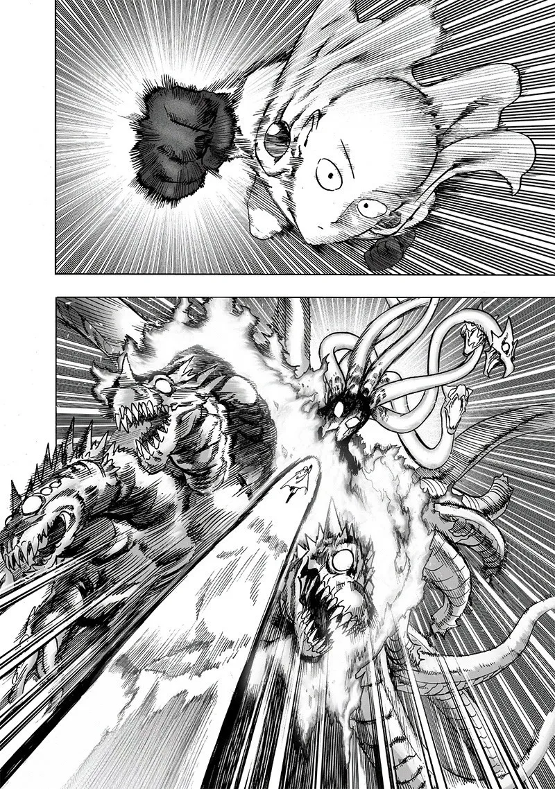 Onepunch-Man - Page 29