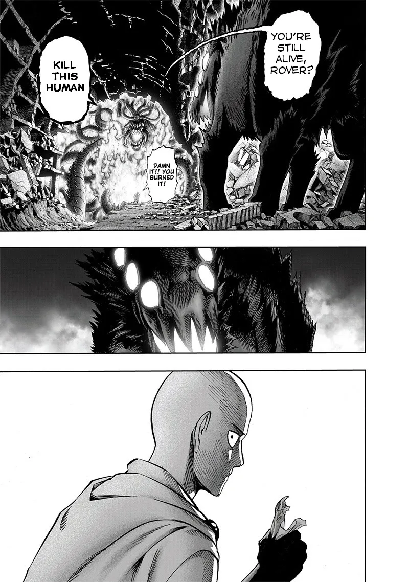 Onepunch-Man - Page 8