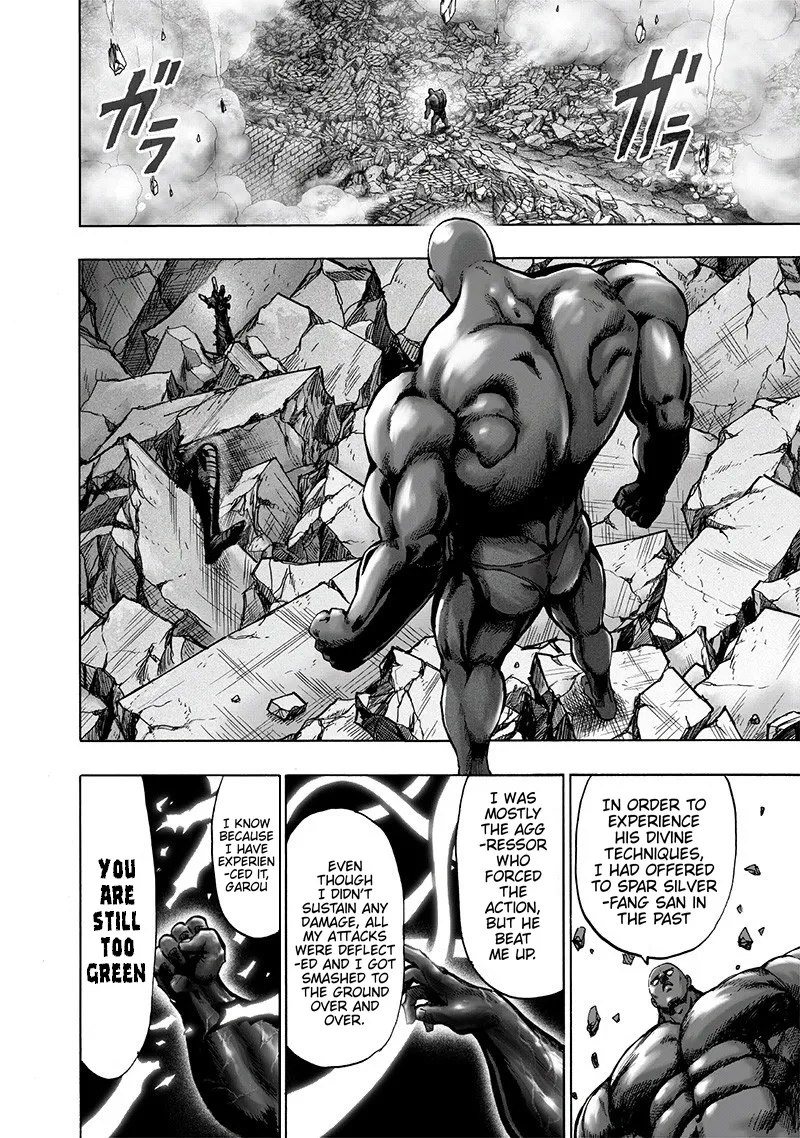 Onepunch-Man - Page 20