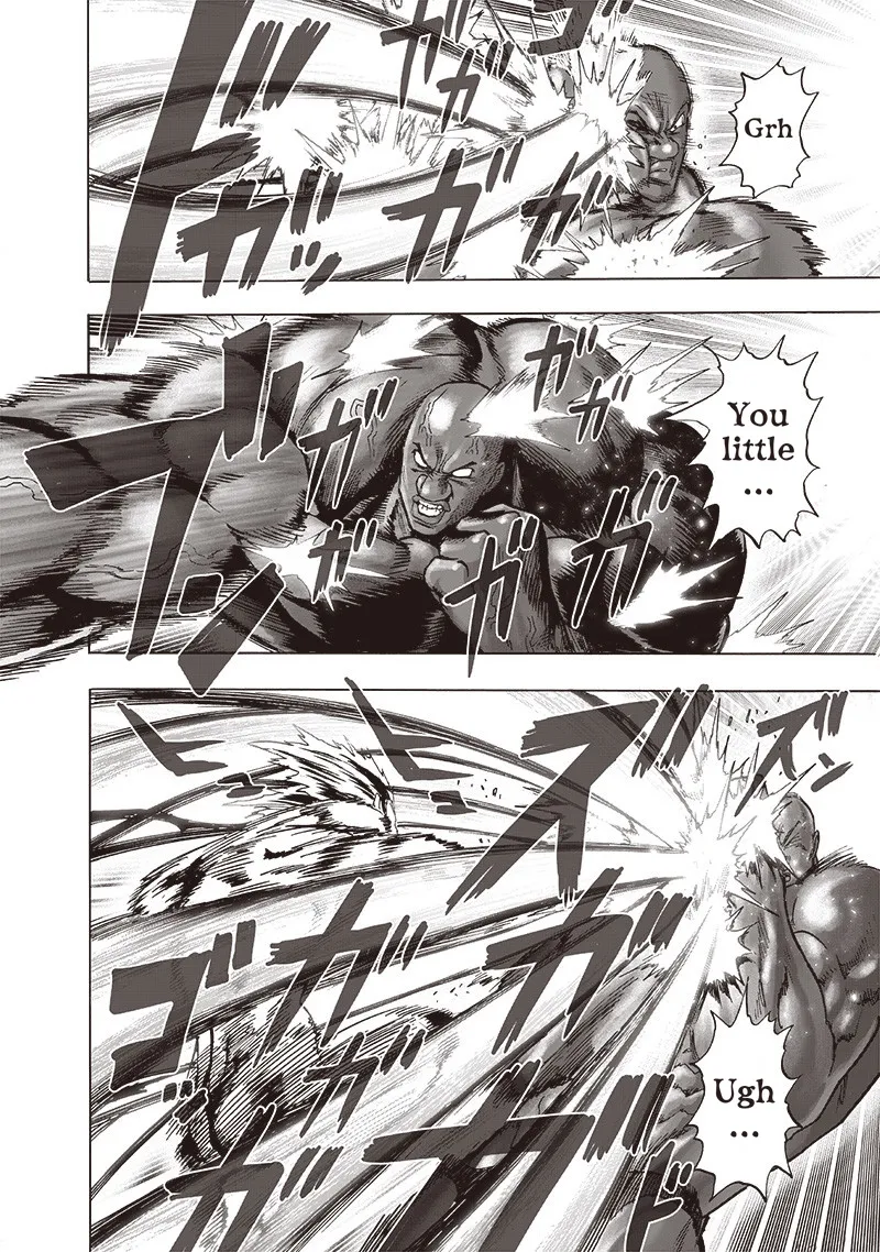 Onepunch-Man - Page 13