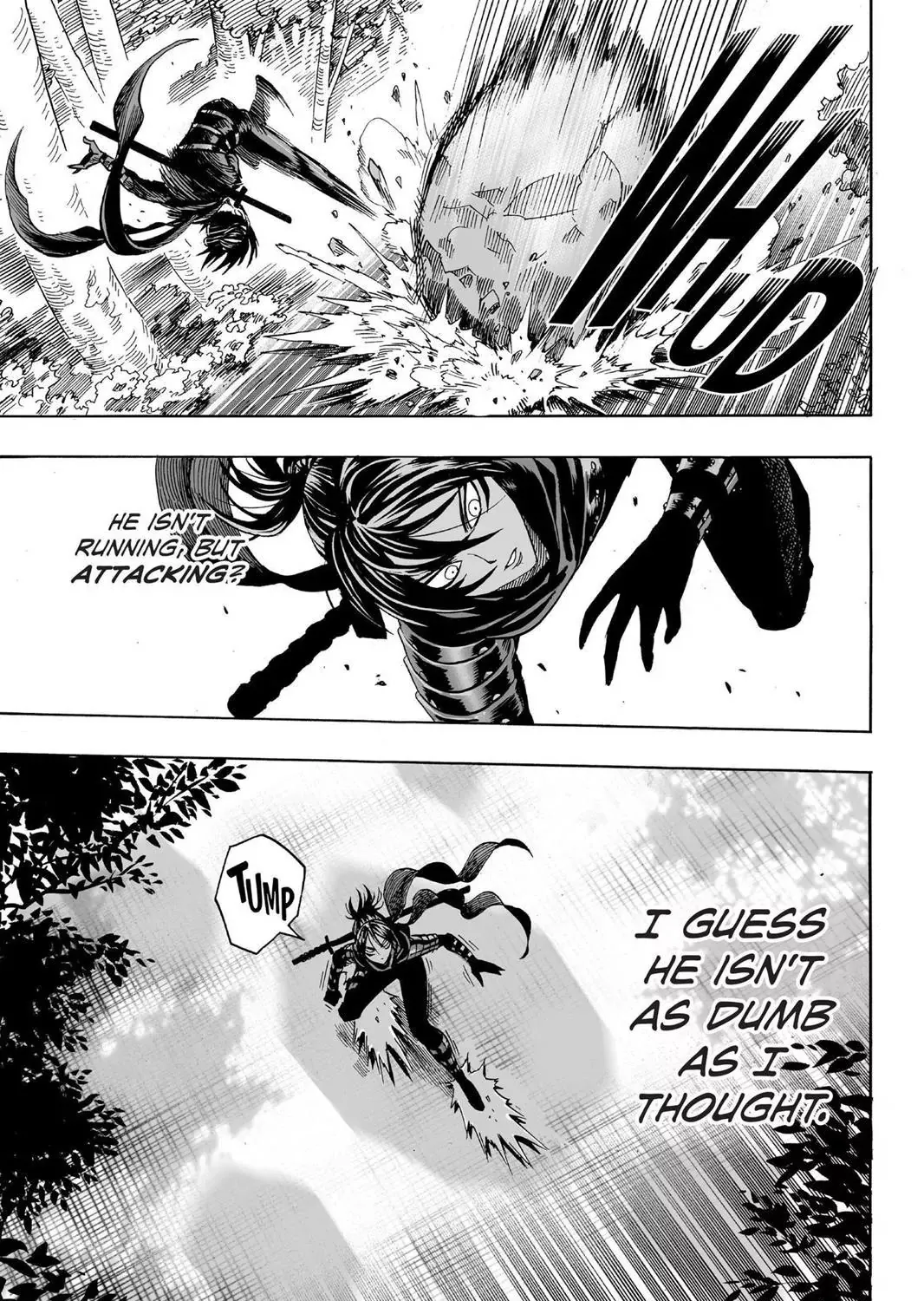 Onepunch-Man - Page 24