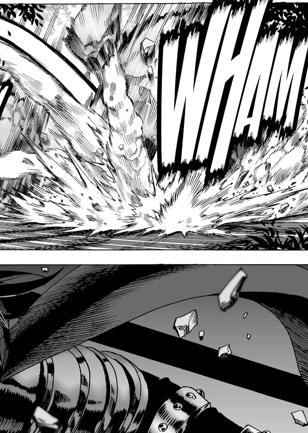 Onepunch-Man - Page 26