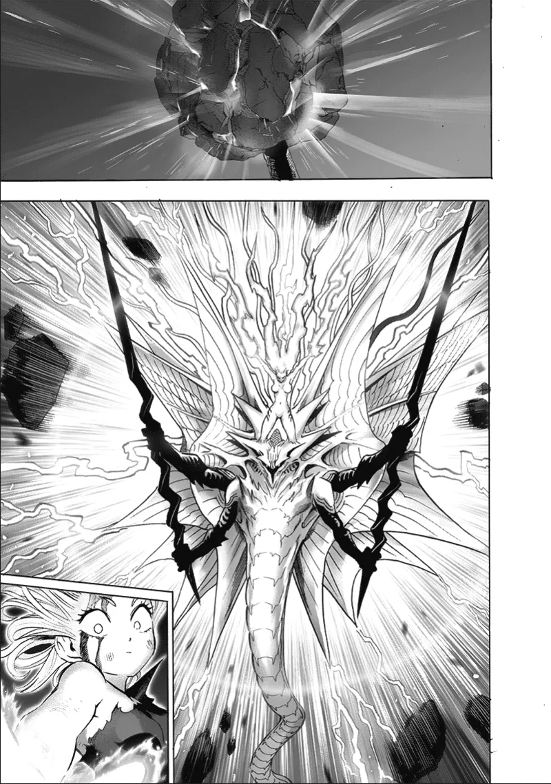 Onepunch-Man - Page 11