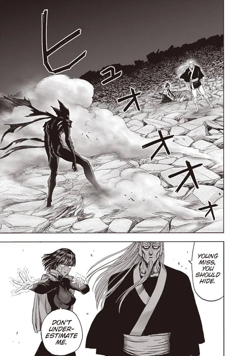 Onepunch-Man - Page 28