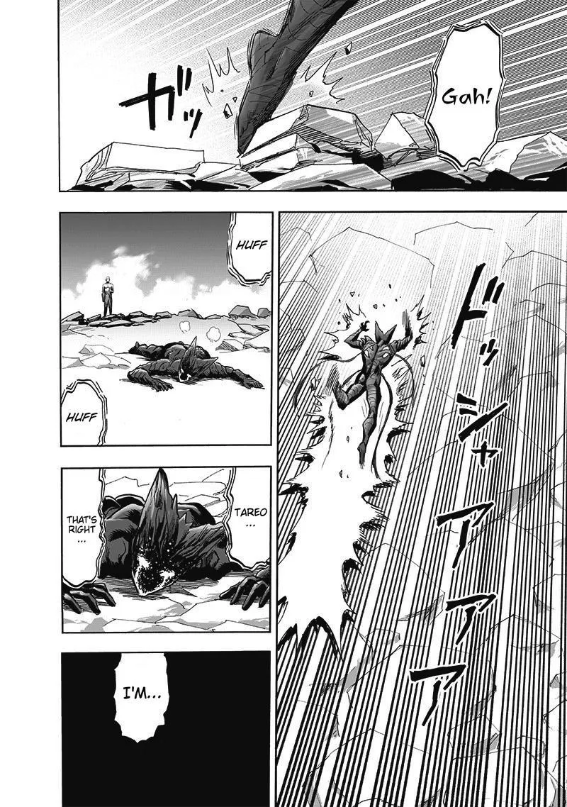 Onepunch-Man - Page 40