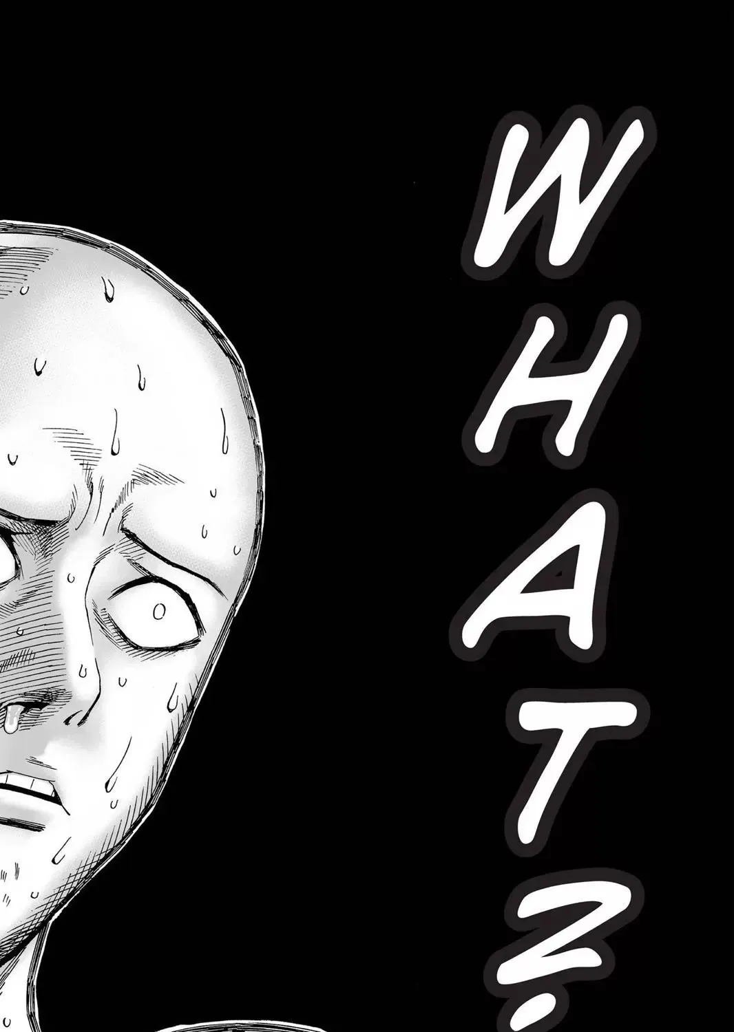 Onepunch-Man - Page 18