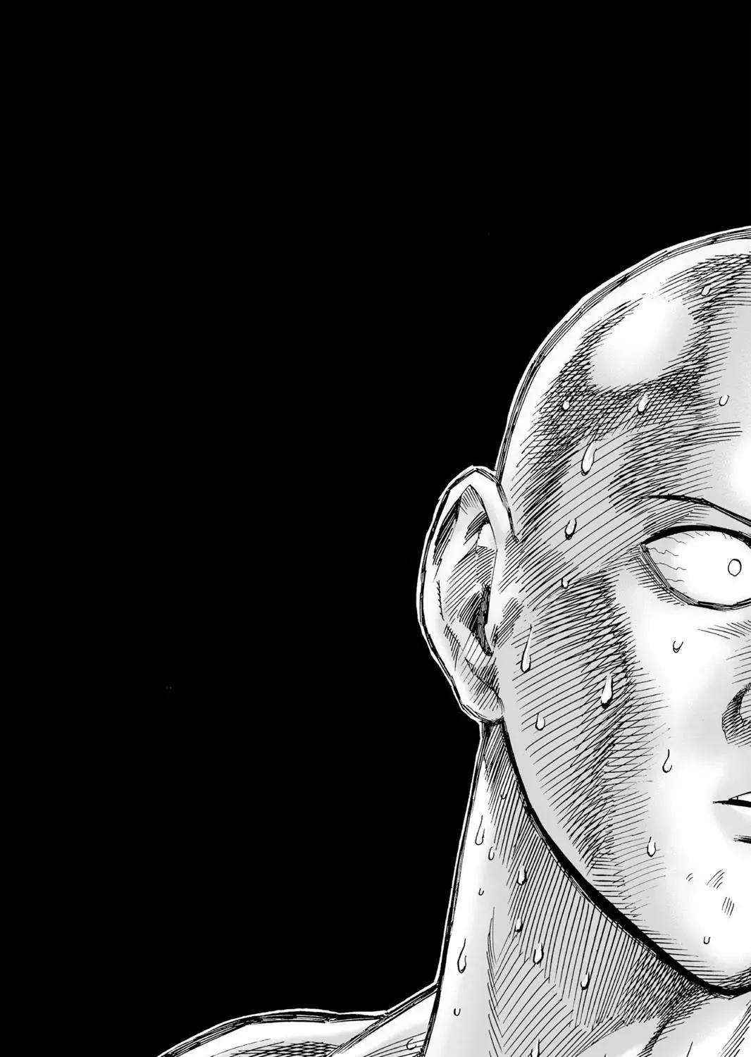 Onepunch-Man - Page 20