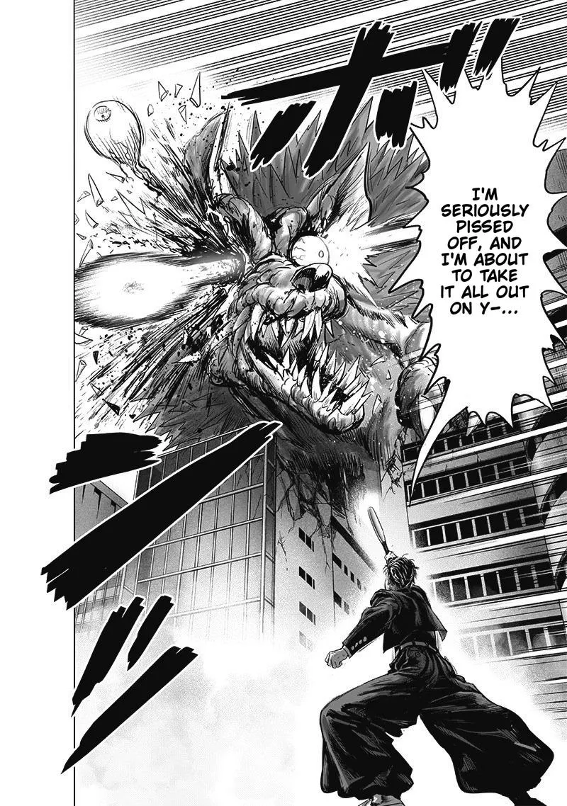 Onepunch-Man - Page 29