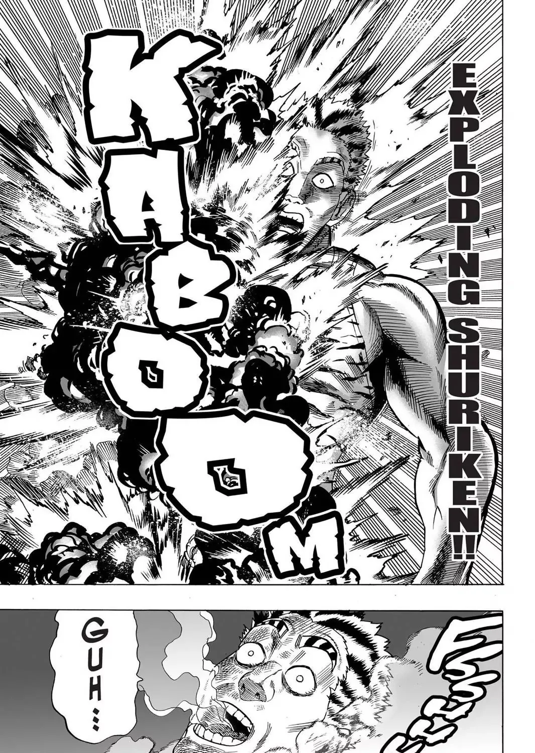 Onepunch-Man - Page 24