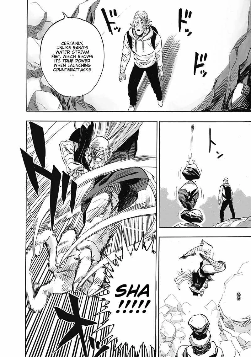 Onepunch-Man - Page 13