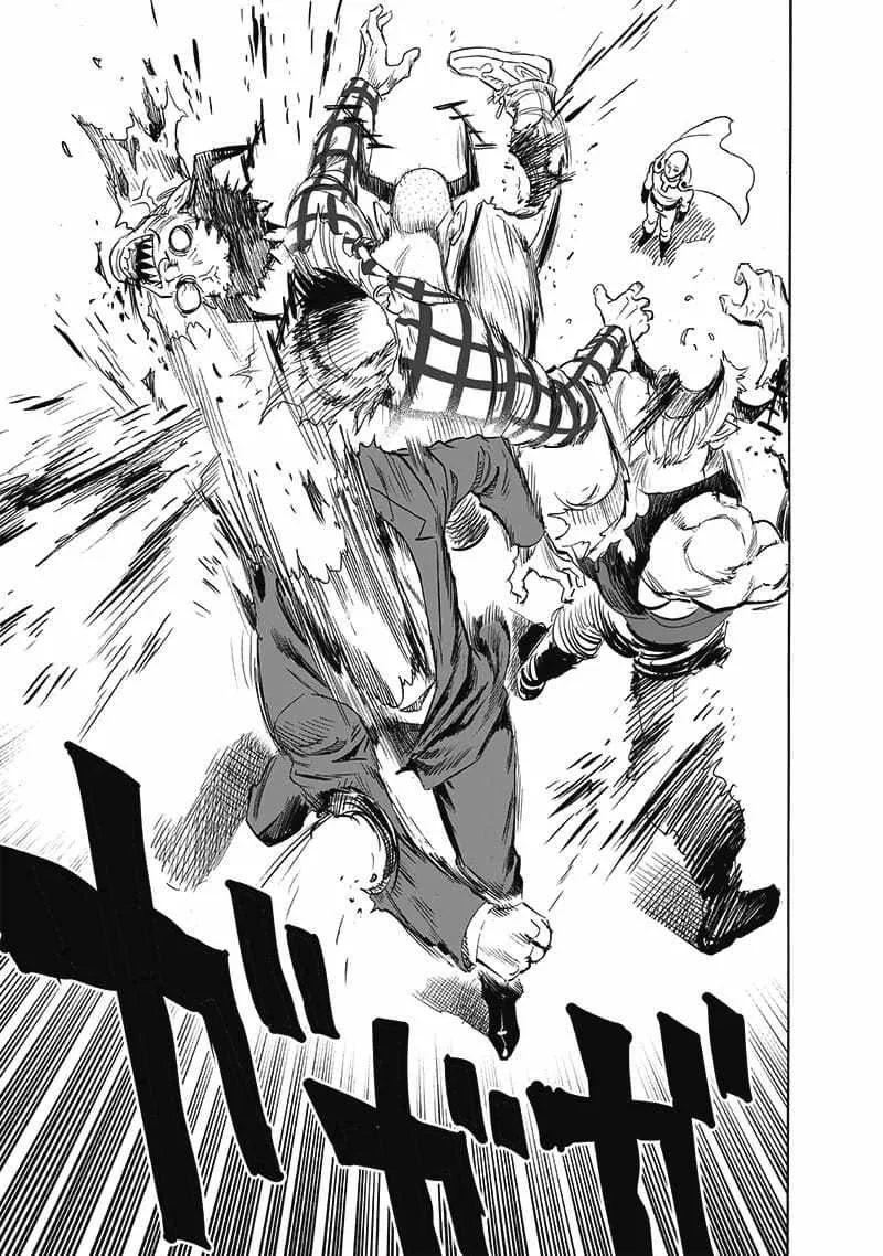 Onepunch-Man - Page 29