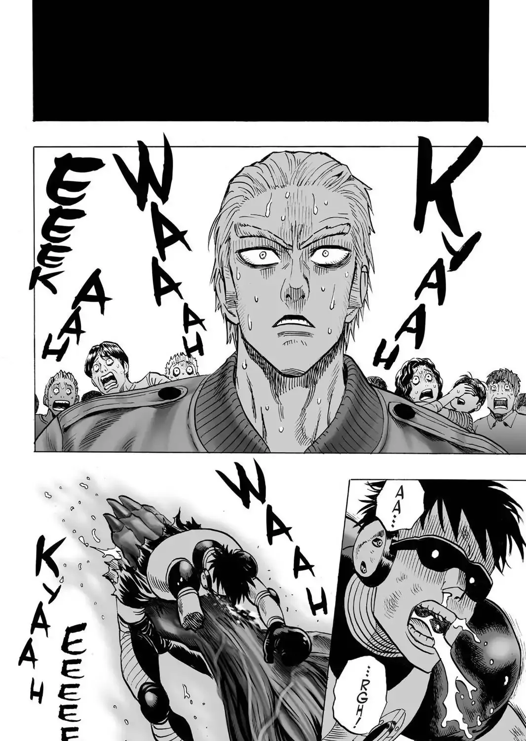 Onepunch-Man - Page 14