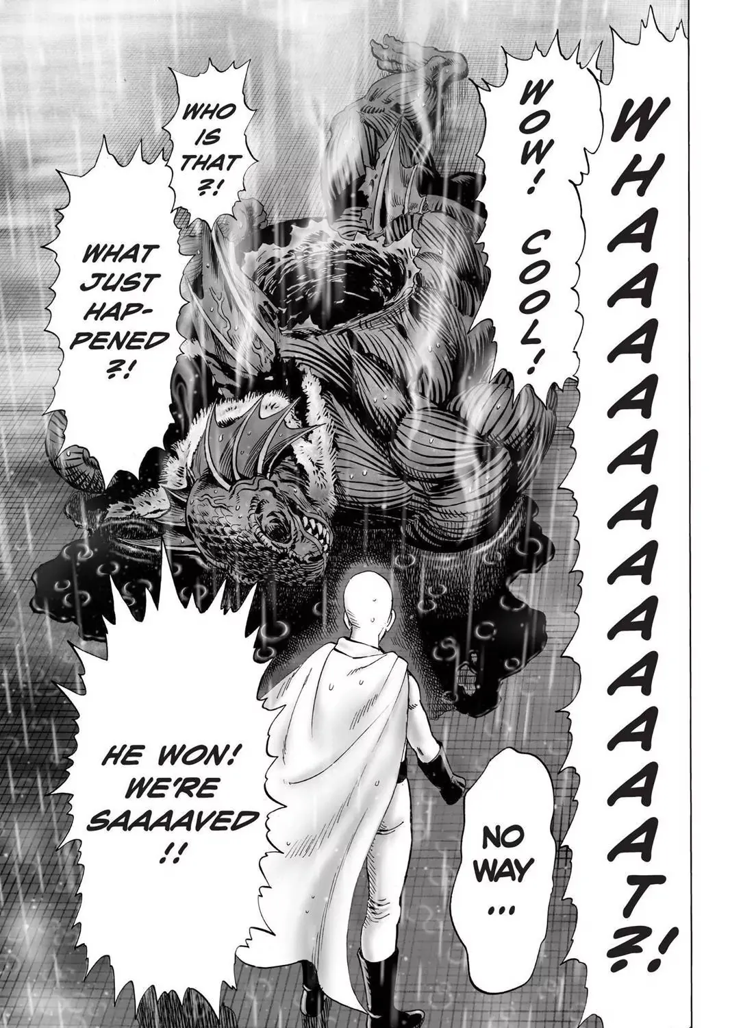 Onepunch-Man - Page 20