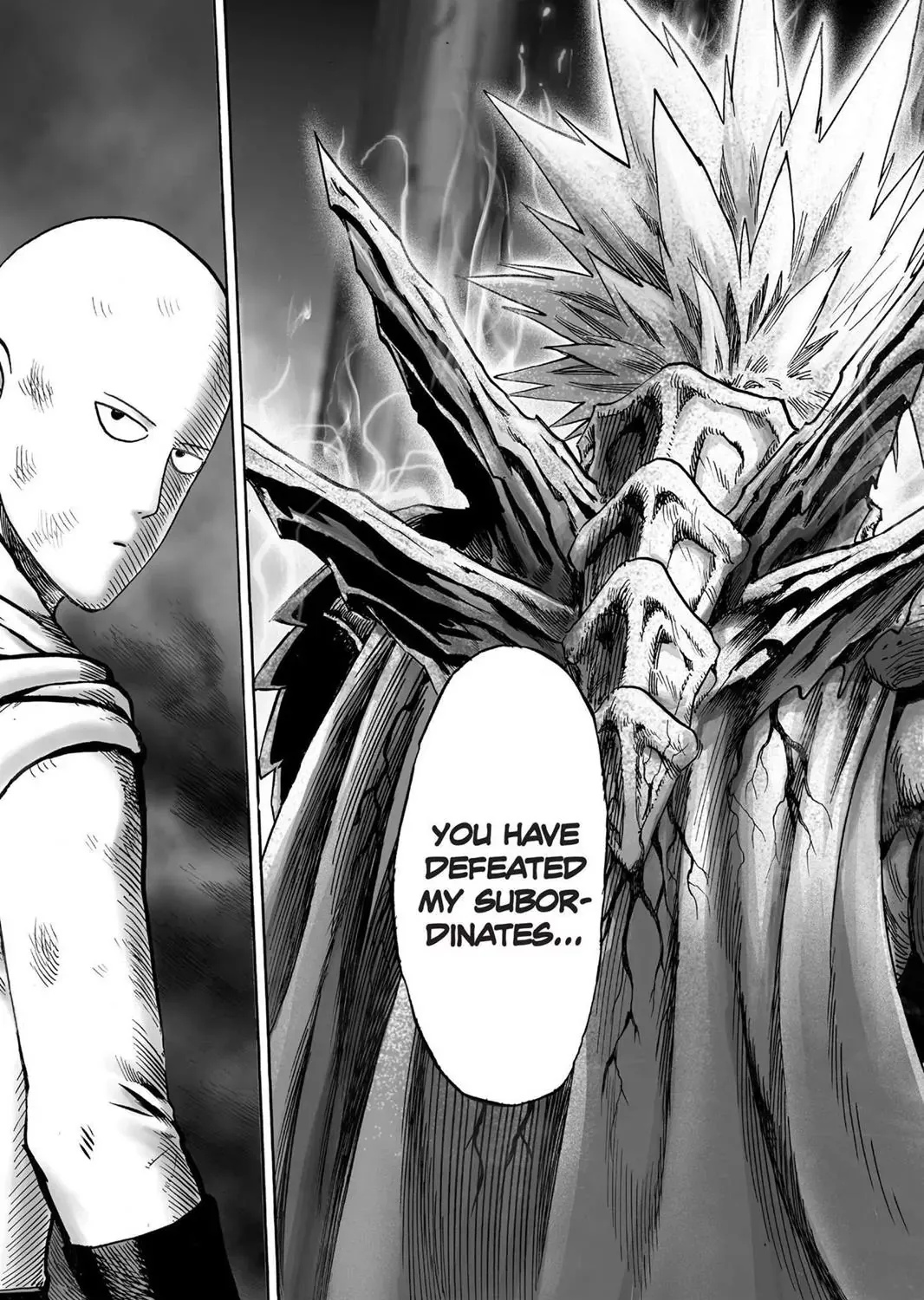 Onepunch-Man - Page 12