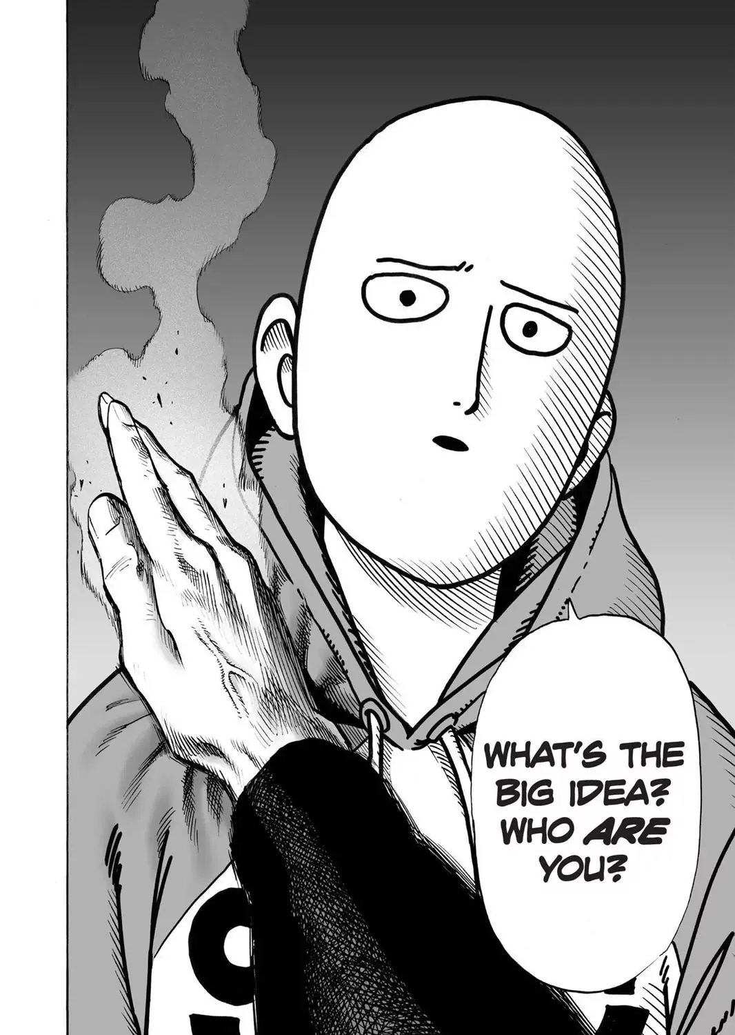 Onepunch-Man - Page 14