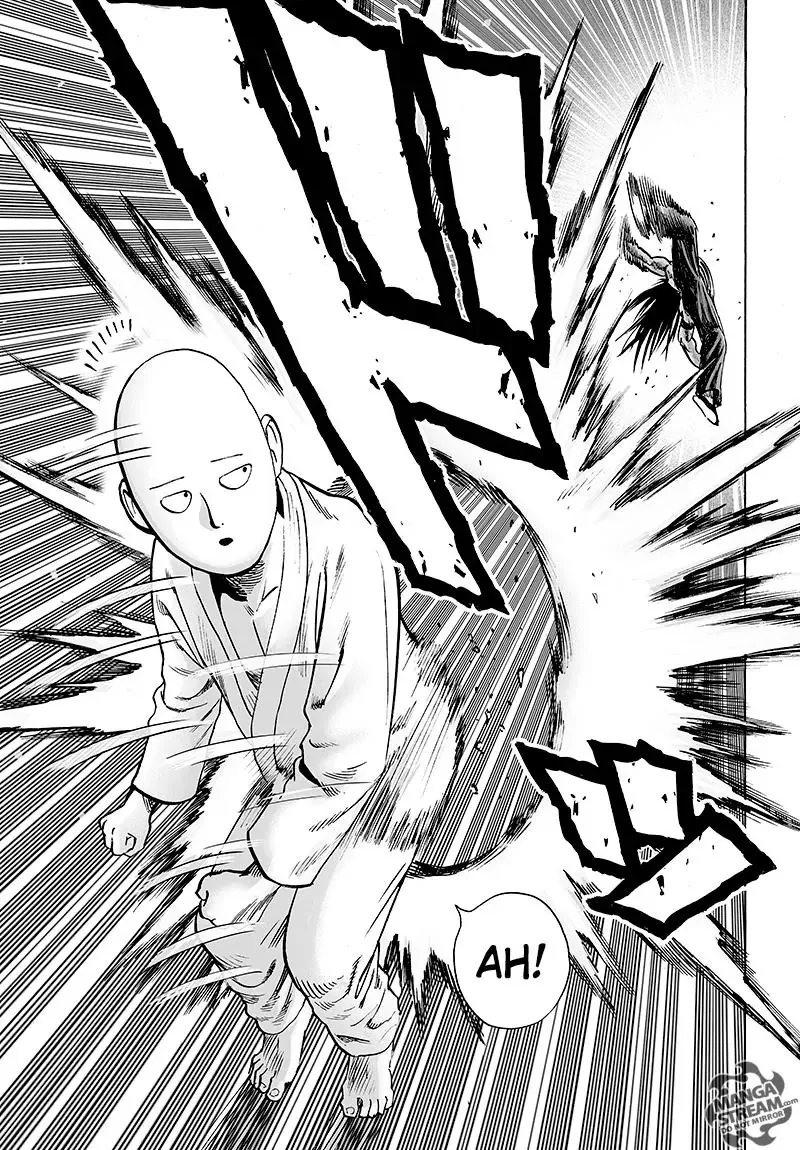 Onepunch-Man - Page 29