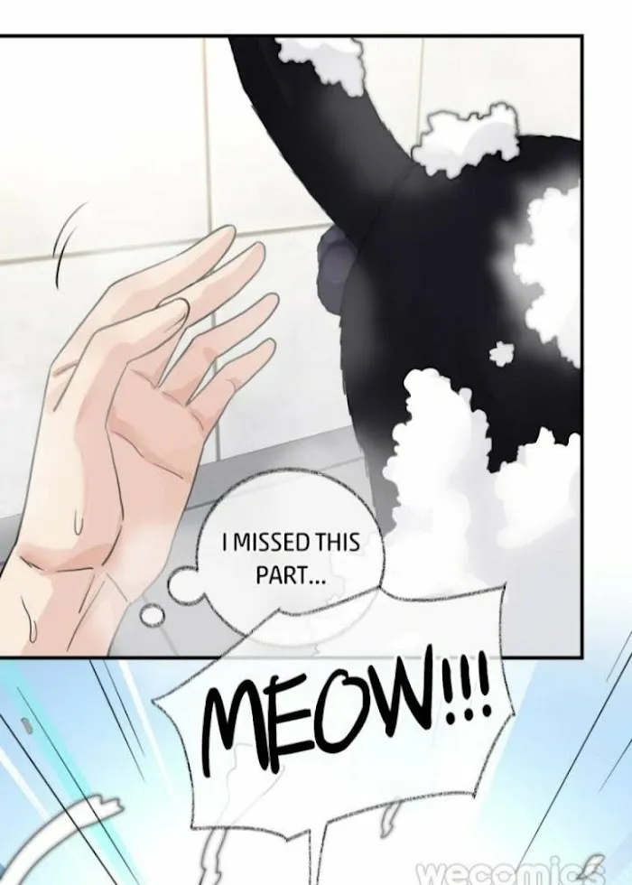 Pay Me Back, Mr. Cat Chapter 8 page 21 - MangaKakalot