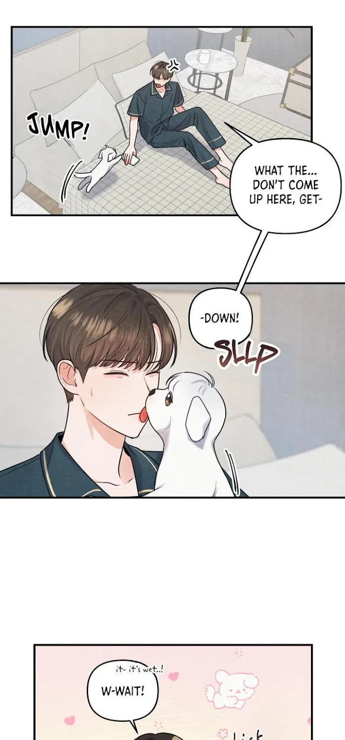 Puppy Love Chapter 1 page 8 - MangaKakalot