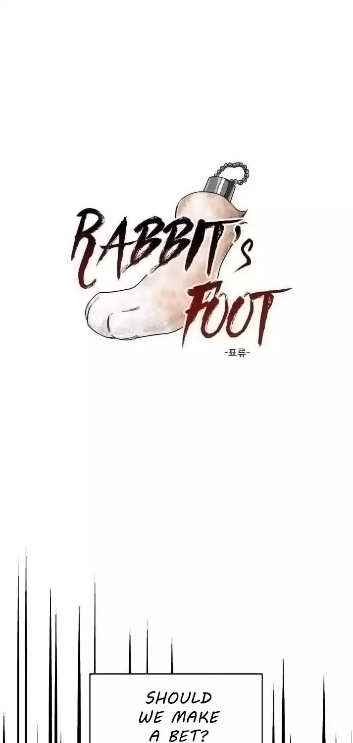 Rabbit