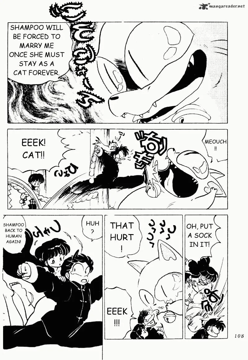 Ranma 1/2 - Page 107