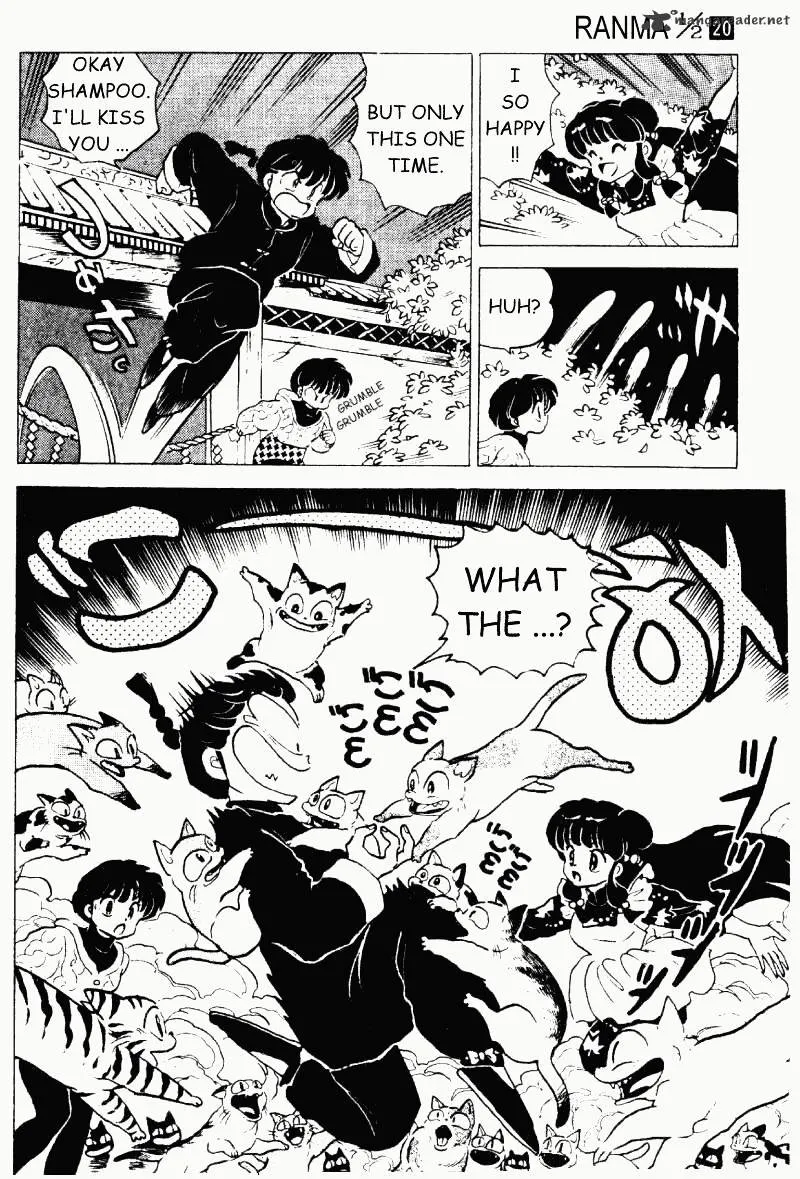 Ranma 1/2 - Page 114