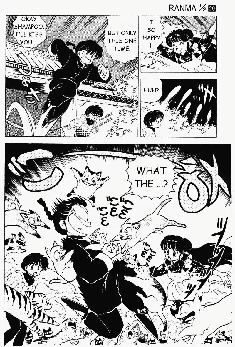 Ranma 1/2 - Page 14