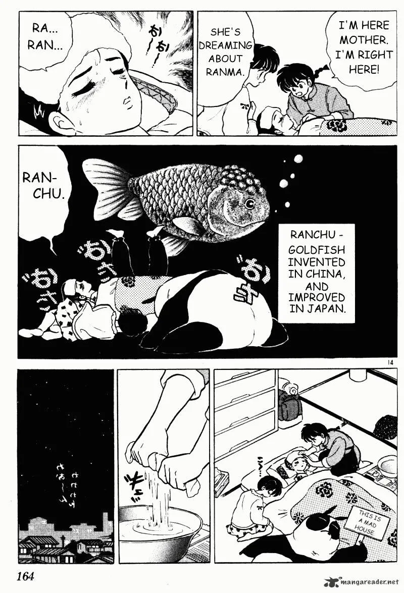 Ranma 1/2 - Page 163