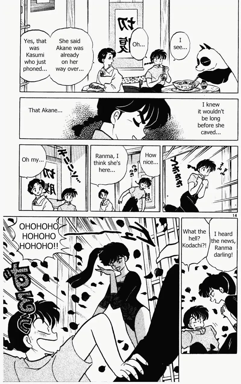 Ranma 1/2 - Page 13