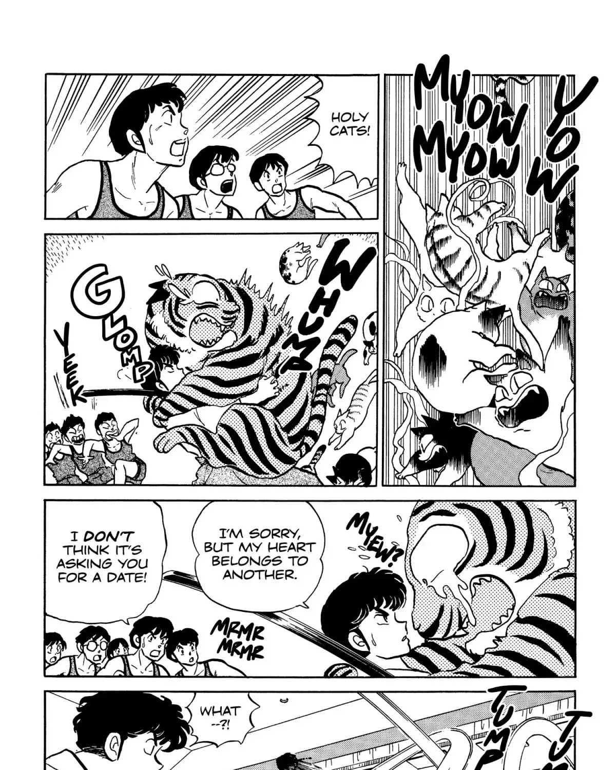 Ranma 1/2 - Page 6