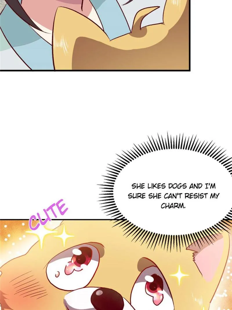 Reborn As A Dog Chapter 2 page 47 - MangaKakalot