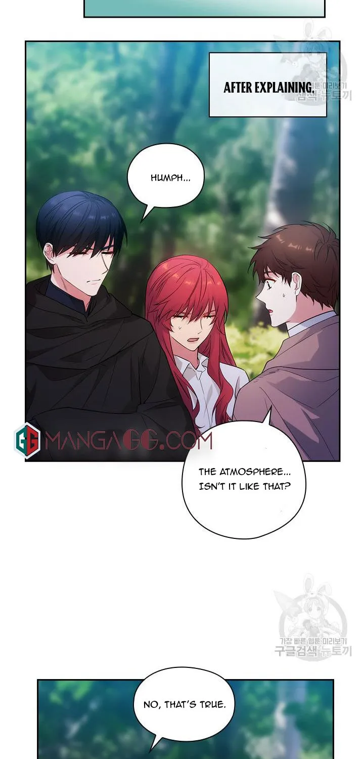 Reminiscence Adonis Chapter 193 page 29 - MangaNato