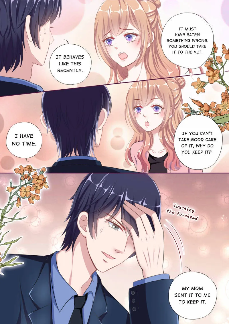 Romance In Toronto Chapter 88 page 5 - MangaKakalot