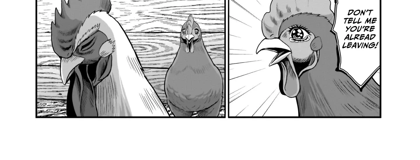 Rooster Fighter Chapter 1 page 16 - MangaKakalot