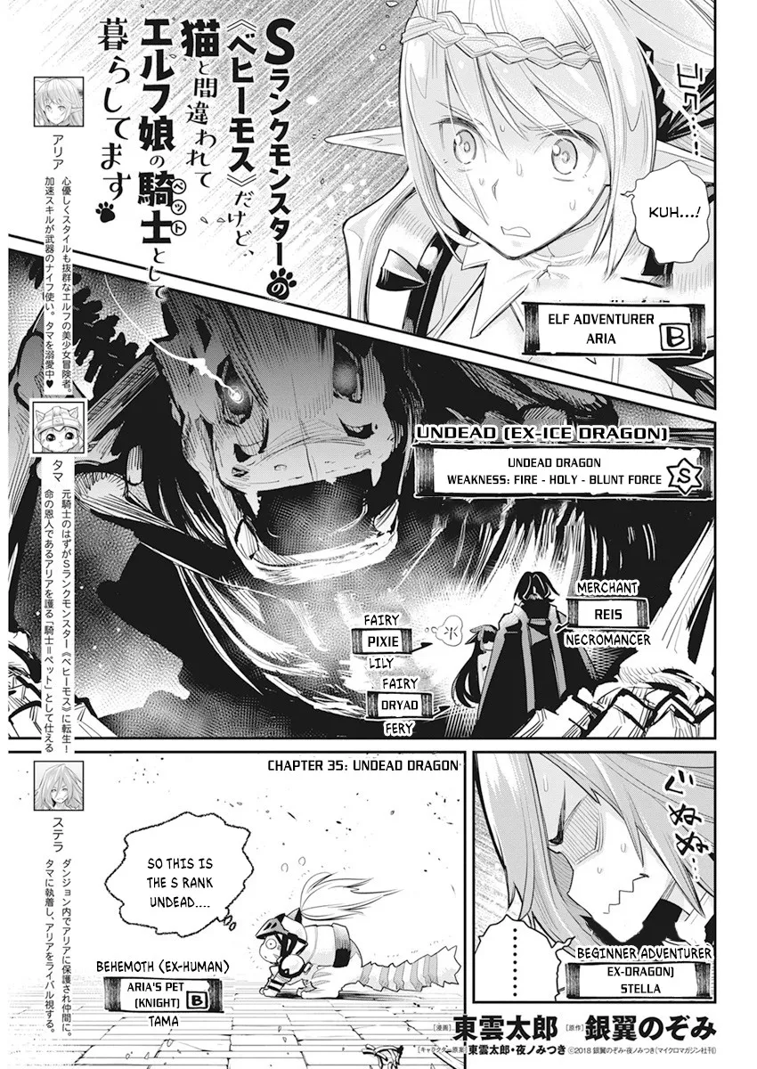 S-Rank Monster No Behemoth Dakedo, Neko To Machigawarete Erufu Musume No Kishi (Pet) Toshite Kurashitemasu - Page 1