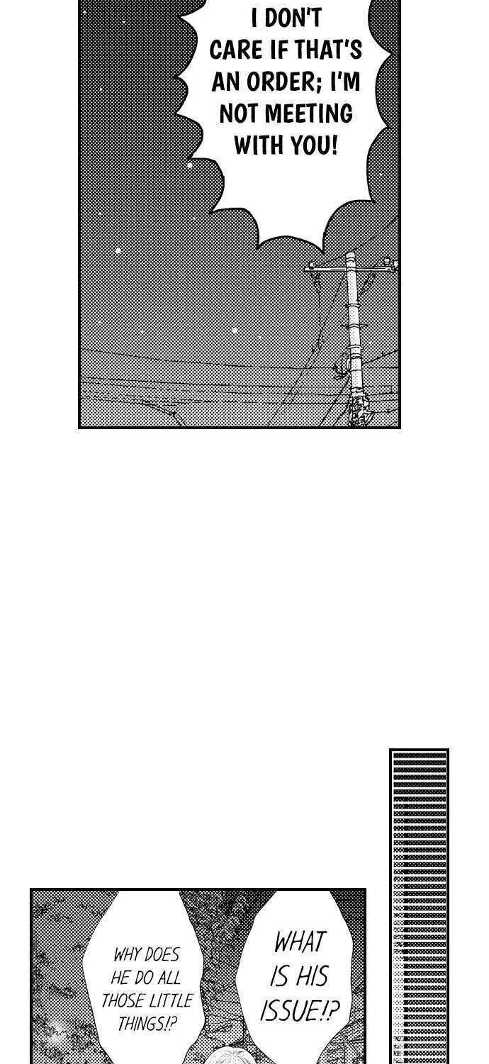 Sazanami Aoshi Ni Shojo O Sasagu ~ Sā, Jikkuri Medemashou Ka Chapter 8 page 3 - MangaKakalot