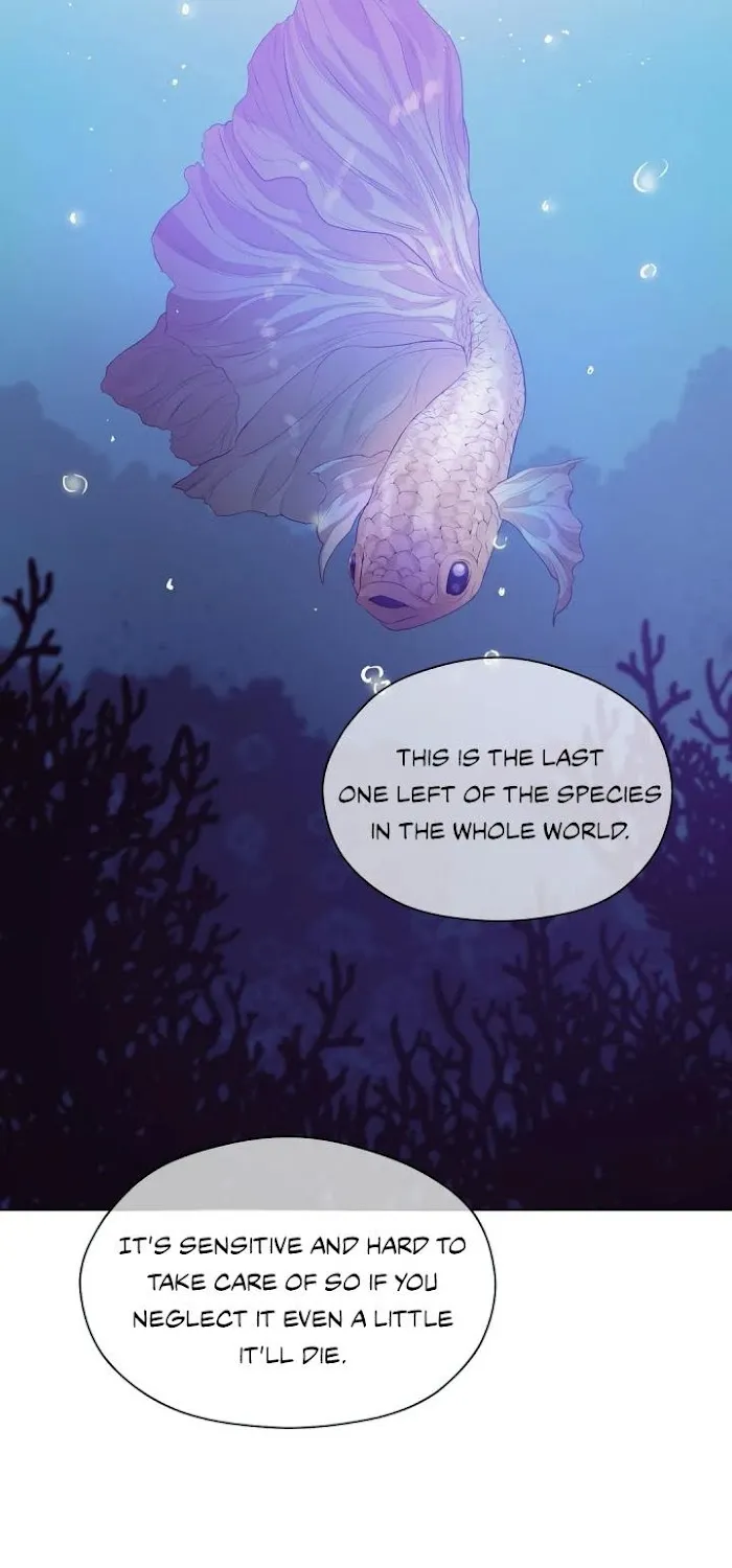 Seashell Boy Chapter 29.1 page 35 - MangaKakalot