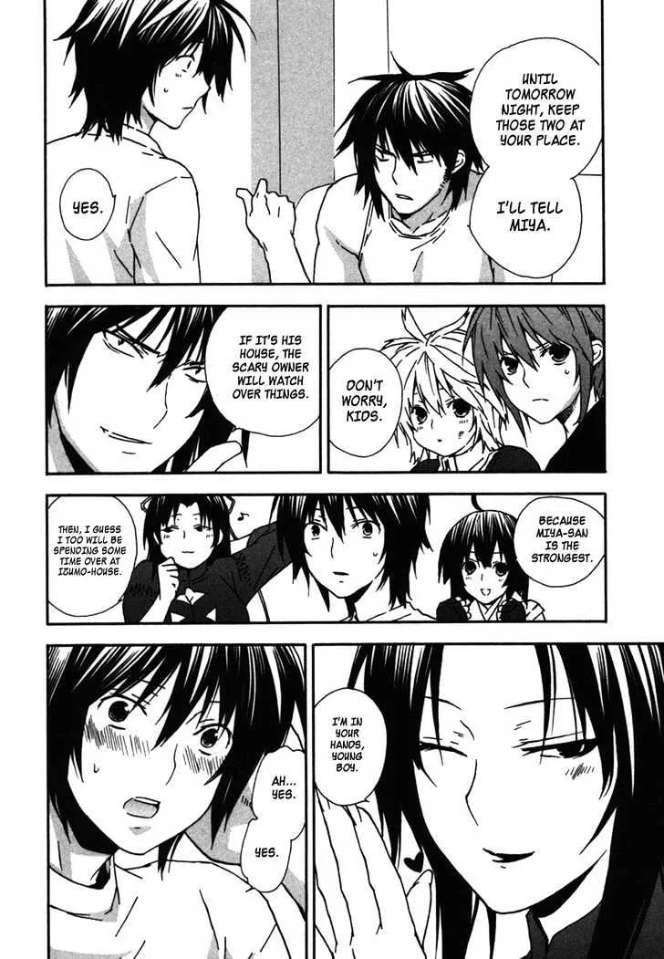 Sekirei Chapter 38 page 6 - MangaNato