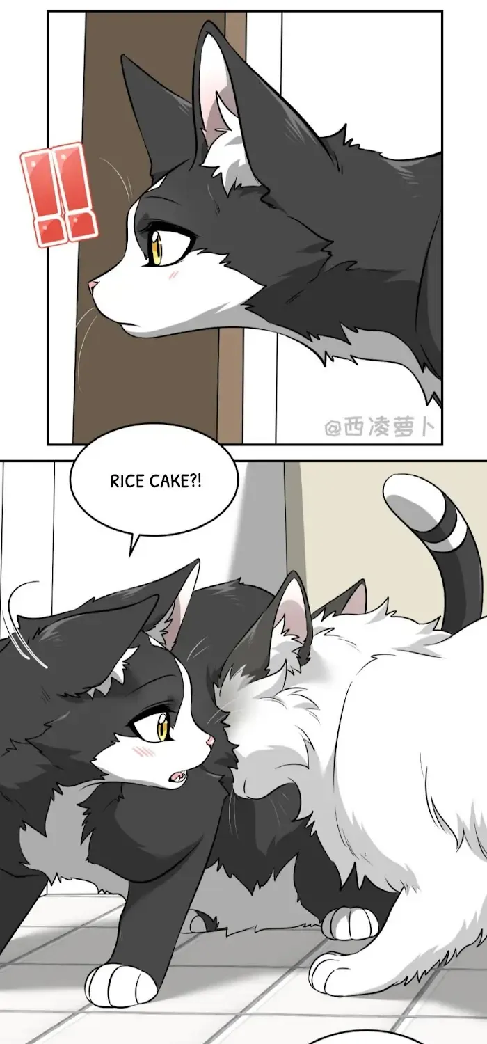 Sesame And Rice Cake Chapter 7 page 11 - MangaKakalot