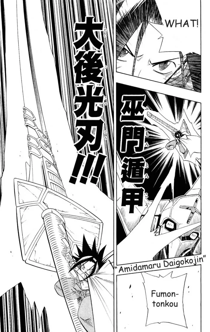 Shaman King Chapter 216 page 14 - MangaKakalot